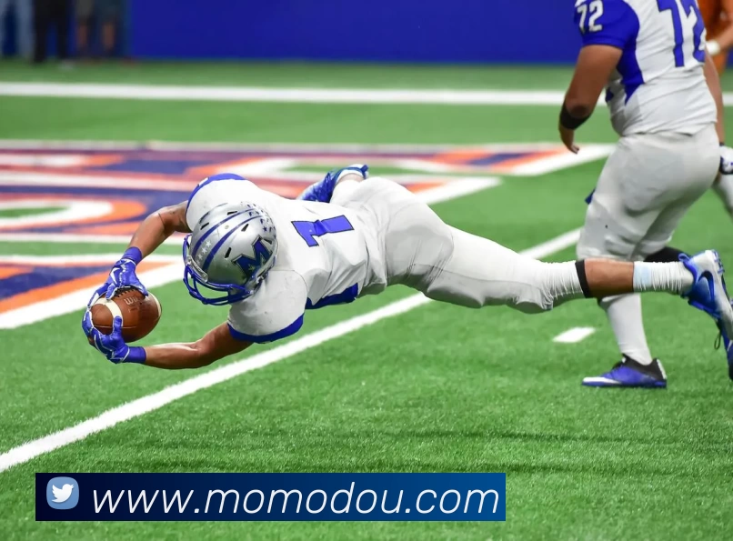 多媒体互动体验