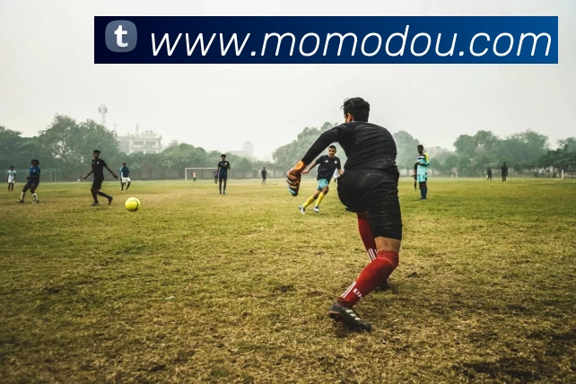 FIFA世界杯官方站 - 赛事新闻与数据更新 | 国际足联 | The World CupAPP 体育赛事宣传图